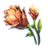Mountain Flower