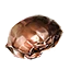 Mudcrab Chitin