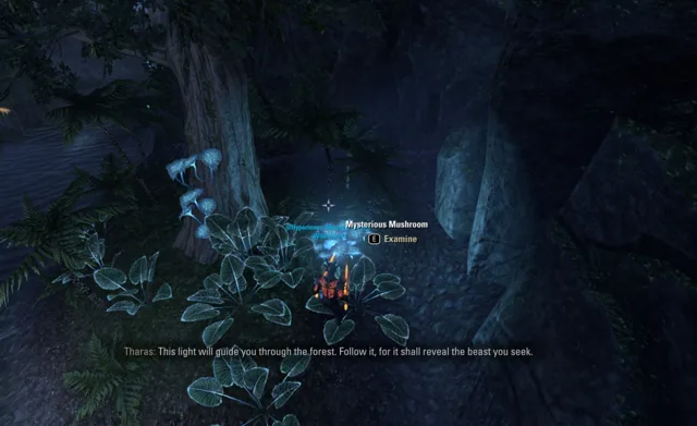 Mysterious Mushroom