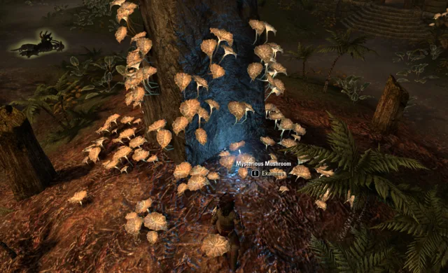 Mysterious Mushroom