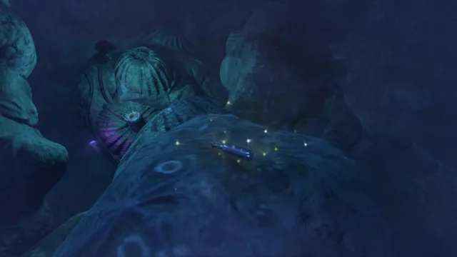 The Stars Led Me Here message in a bottle location