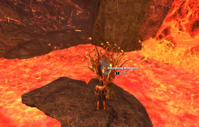 The player standing next to Subjugating Mindspore on a rock in the lava