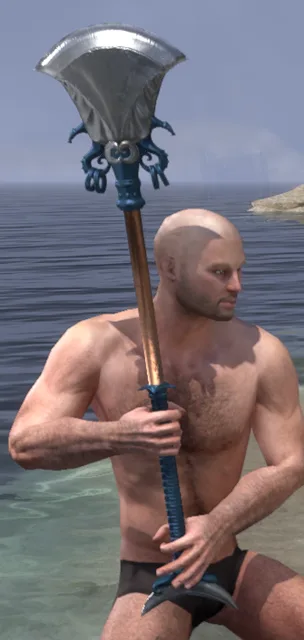 Abecean Sea Privateer Battle Axe outfit style