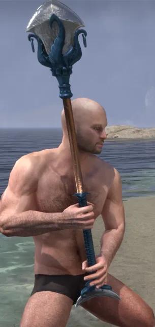 Abecean Sea Privateer Maul outfit style