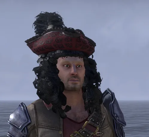 Ostentatious Pirate Wig and Hat