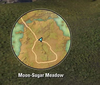 Minimap on the HUD